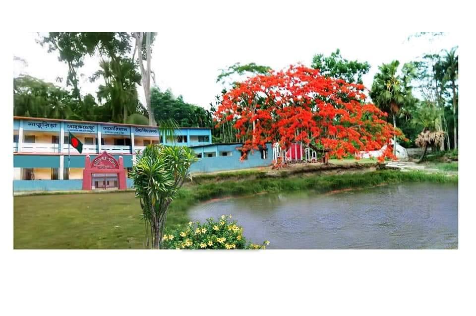 Mathbaria Govt College